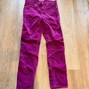 Vibrant Purple Corduroy Pants